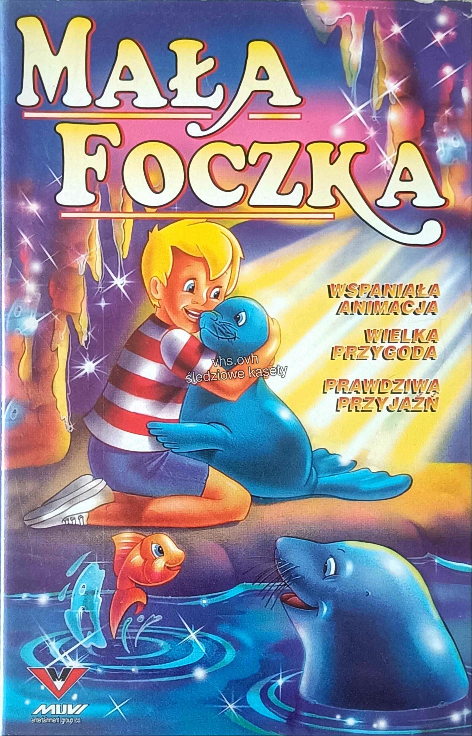 #799 Mała foczka