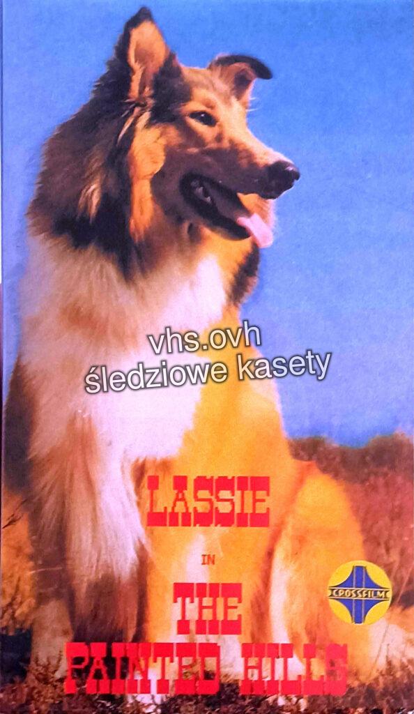 #861 Lassie z malowanych wzgórz