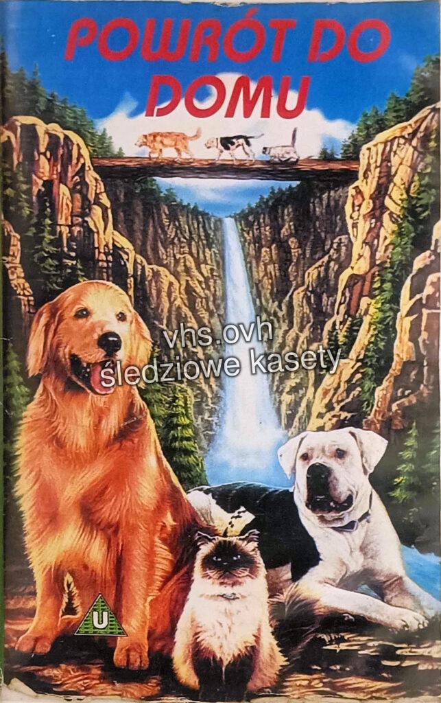 #886 Powrót do domu