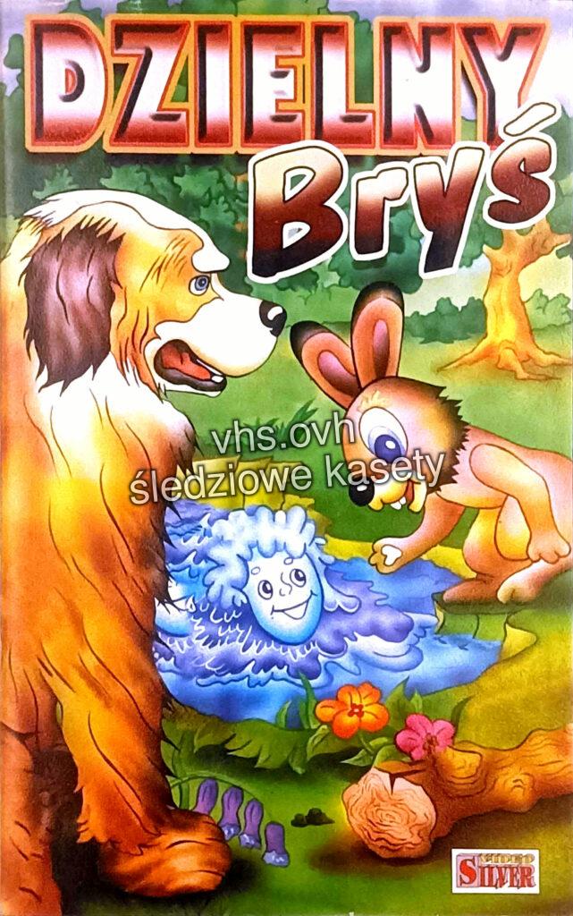 #956 Dzielny Bryś